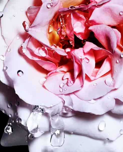 Davidoff Cool Water Reborn For Her Eau De Toilette